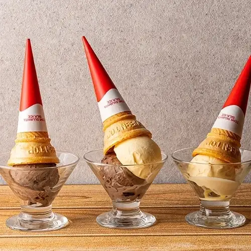Various types of ice cream