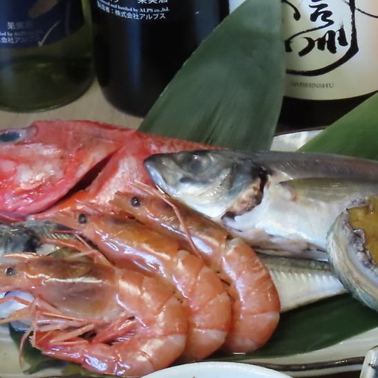朝採れの新鮮な魚を楽しめます!