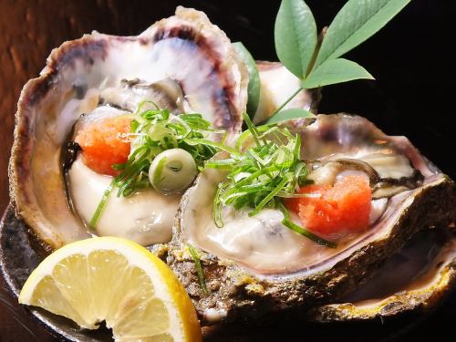 Rock oyster [Limited time offer]