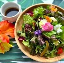 大分県産彩り野菜のサラダ　大分カボスドレッシング