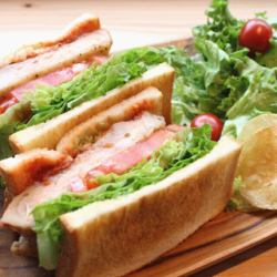 Grilled chicken and tomato sauce sandwich