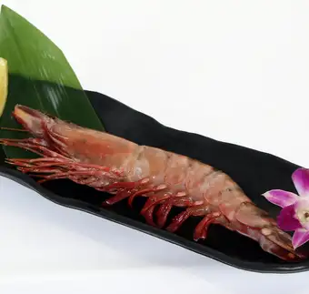 帝王虾