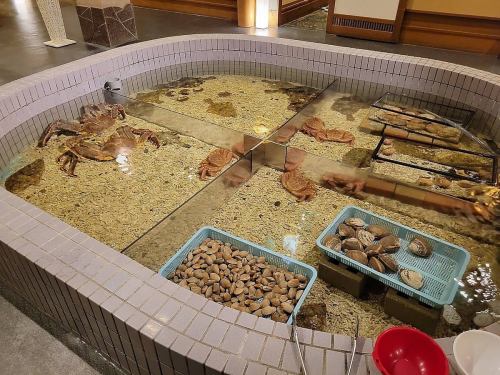 鮮度抜群の海鮮を創作