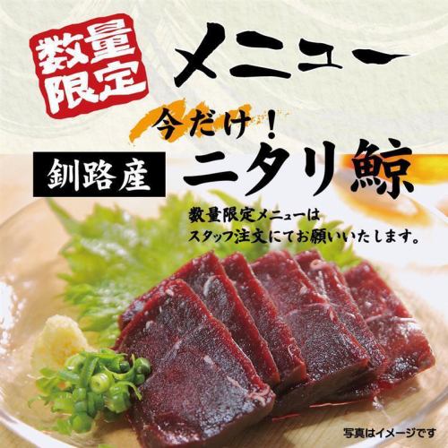 ニタリ鯨上赤身刺身