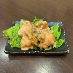 オーロラは裏切らない