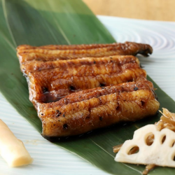 鰻の蒲焼き