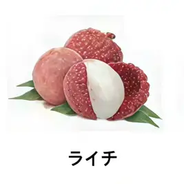 【フルーツ系】ライチ