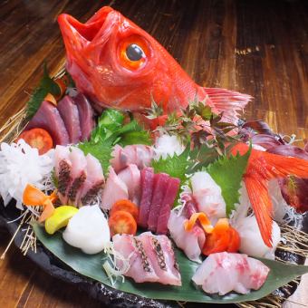 오카야마산 아침 잡힌 생선 생선회 모듬