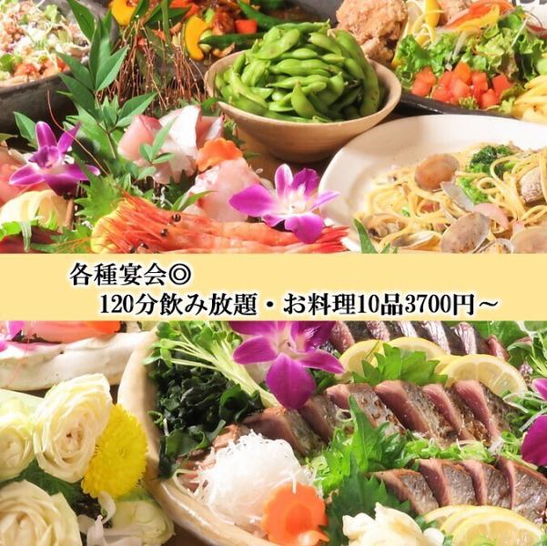 ★個室宴会★平日限定(日～木)2時間飲み放題で料理10品のボリュームたっぷり！お得なコース