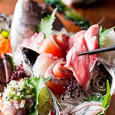 夏季限定☆鮮魚と九州料理を堪能♪全9品 3h飲み放題★5000円