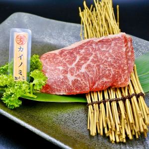 (漢)カイノミ