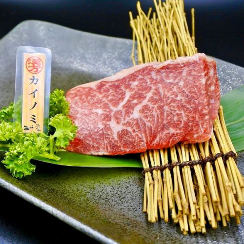 (漢)カイノミ