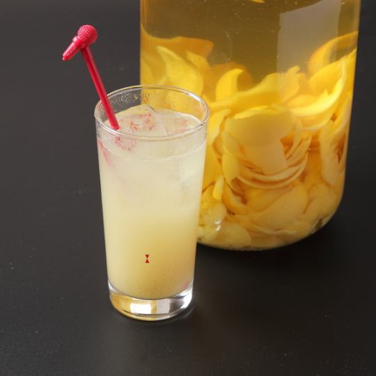 【120分飲み放題】スタンダードプラン♪≪自家製レモンサワーや果実酒が楽しめる≫