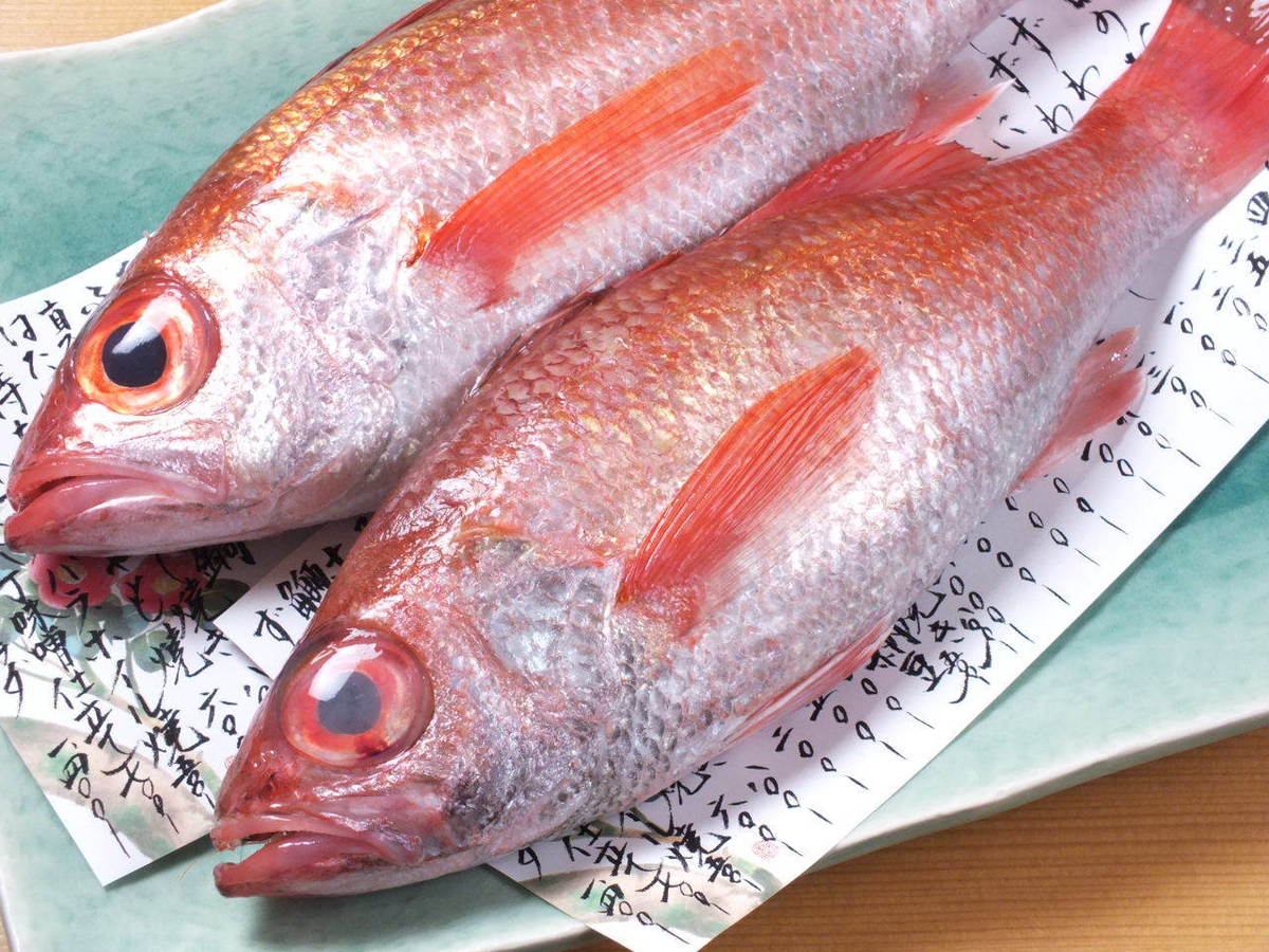 【贅沢魚介で飲み会】旨い酒に旨い肴！喜乃屋のコースは6000円～