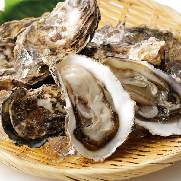 Enjoy Hiroshima's specialty oysters in abundance. All seating is private!
