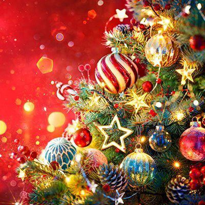 [2025 Christmas] Christmas limited course from December 22nd to 25th ♪