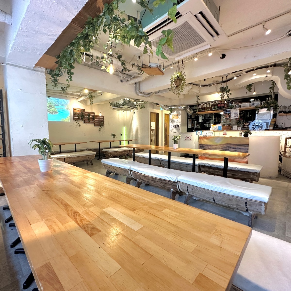 澀谷花園廳：澀谷的人氣活動場所｜白天室內