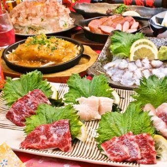 [Local] Food only ★ 9 local creative dishes with 5 kinds of horse sashimi
