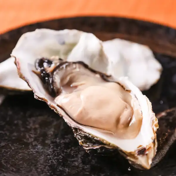 【海のミルクを堪能】濃厚な旨味とクリーミーな味わいが口いっぱいに広がる「新鮮な生牡蠣」