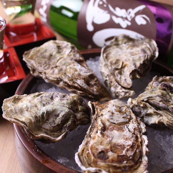 [Large oysters, seasonal crabs and blowfish are also in stock !!]