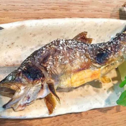 Salt-grilled river fish (char, yamame, etc.)