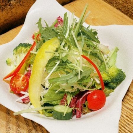 [Colorful vegetable salad]
