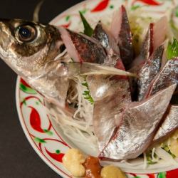 Horse mackerel sashimi set meal