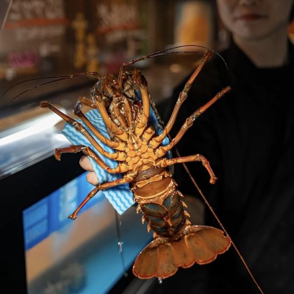 雪花といえば新鮮な鮮魚！！なんと生簀に「伊勢海老」が登場！どこにも負けない価格でご提供！ご注文いただいてから捌いております！目でも味でもお楽しみください！
