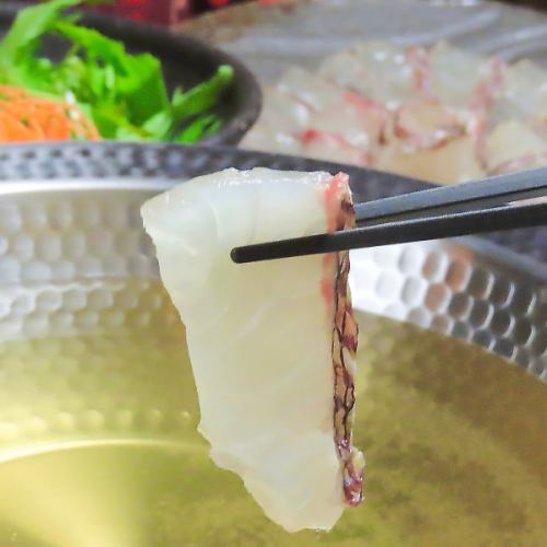 에히메의 신정평【도미샤브】※동계 한정