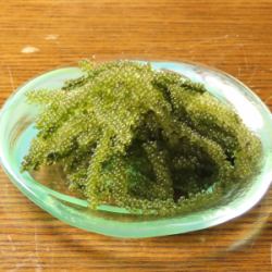 海ぶどう/もずく酢納豆/スクガラス島豆腐のせ