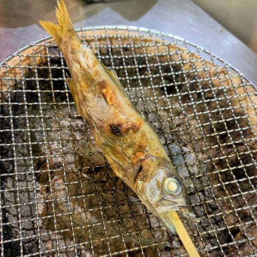 Ayu (sweetfish)