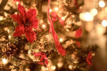 【僅限三天:12月20日(週六)、21日(週日)和24日(週三)】聖誕高級套餐,六道菜餚,讓您在平安夜享受美味