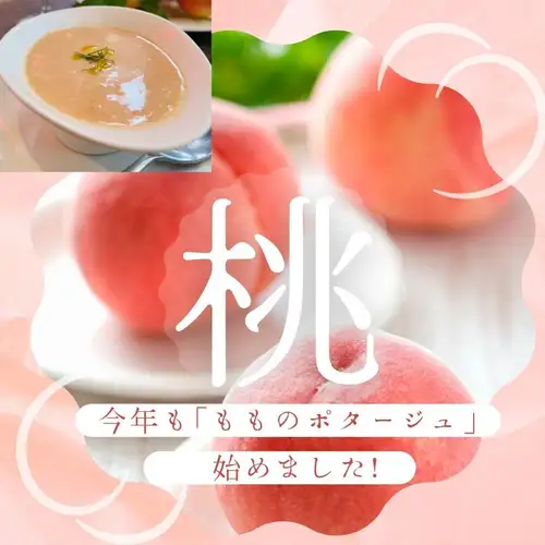 今年我們又開始供應桃子濃湯啦！ 🍑

你好💫
昨天，我負責婚禮的新郎新娘來我老公以前工作的餐廳吃飯，時隔這麼久再次見到他們，我真的太開心了！我是你們的主持人Eriko。 😊

雖然已經過去20年了，但當人們仍然說「那是一場很棒的婚禮」時，真的讓我覺得當婚禮策劃師很值得。 🥰
上週，一家在SYOCA舉辦婚禮的家庭前來參觀…

啊……我真的覺得餐廳能夠繼續營業，讓人們可以再次回到這個充滿回憶的地方，這本身就很有意義。 😊

我以前負責婚宴的那家餐廳已經關門了，但我們會努力經營，讓我們的餐廳在未來的許多年裡都能受到大家的喜愛💪

現在，我們來聊另一個話題…

各位，一年一度的節慶又來了！ 💫
在我們推出的時令濃湯中，這道湯很受歡迎。
期待已久的…

🍑桃子濃湯🍑
我們今年重新開始了！ ✨

你可能會想：「桃子濃湯吃起來不像甜點嗎？」但沒關係，因為它裡面加了奶油和自製清湯！ 😊

請試試吧！ ✨
我們期待您的光臨！ 💕

#FrançaiseLaporte
#拉波特
#Mizonokuchi午餐
#溝之口晚餐
桃子濃湯
#桃子濃湯
#桃子湯
今年重新開始了
#田園都市線
#溝之口法語
#Mizonokuchi餐廳