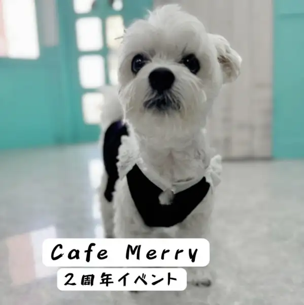 【◆感謝を込めた2周年記念イベント開催◆】愛犬にも嬉しいサービスをご用意！