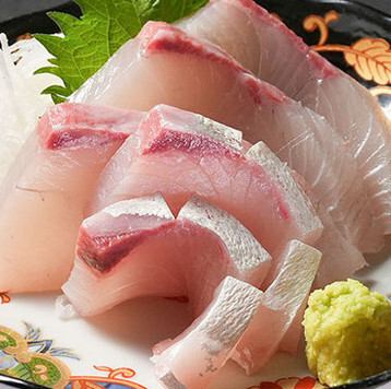 本まぐろお造り/かんぱちお造り