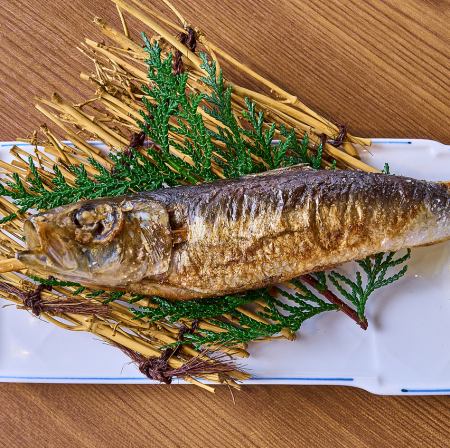 名物！大トロイワシ