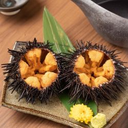 Sea urchin sashimi