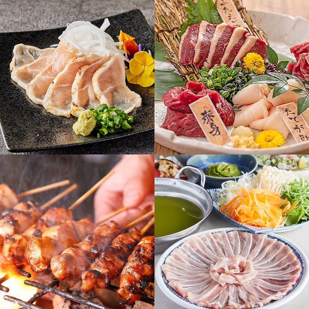 Enjoy our signature Kyushu cuisine, including horse sashimi!