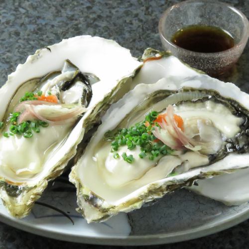 Raw oysters that can be eaten all year round!