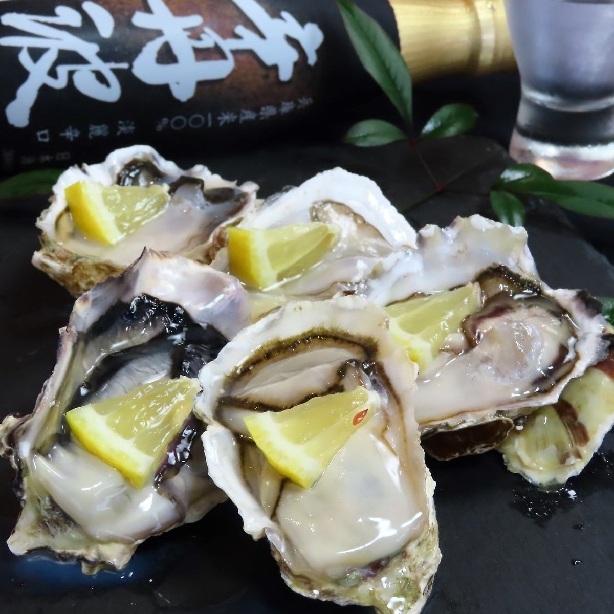 新鮮な海鮮をお腹いっぱい味わう！