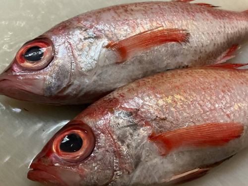 이제 초고급 생선이 되었지만 역시 맛있다.
#유바젠이치노미야본점