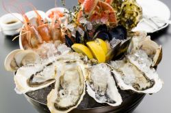 Today's selection: 4 pieces of Ofunato Akasaki raw oysters from Iwate Prefecture