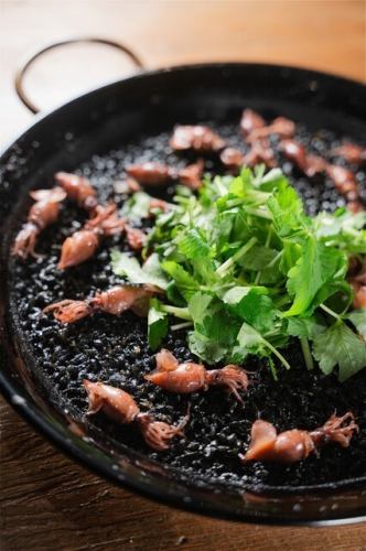 Firefly squid and three-leaf squid ink from Hyogo Prefecture