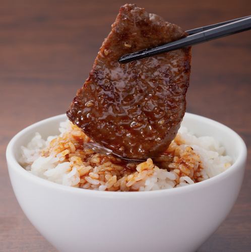 Meat x sauce x rice = a sure hit!
