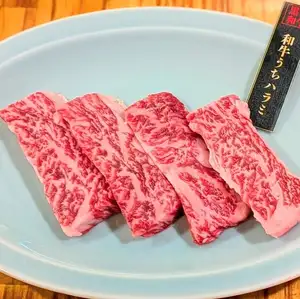 【A5级日本黑毛和牛】裙边牛排