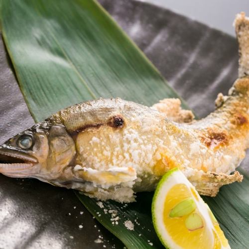 ≪Ami-yaki≫ Salt-grilled sweetfish