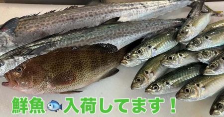 🔴追手筋宴舞堂🟢
1