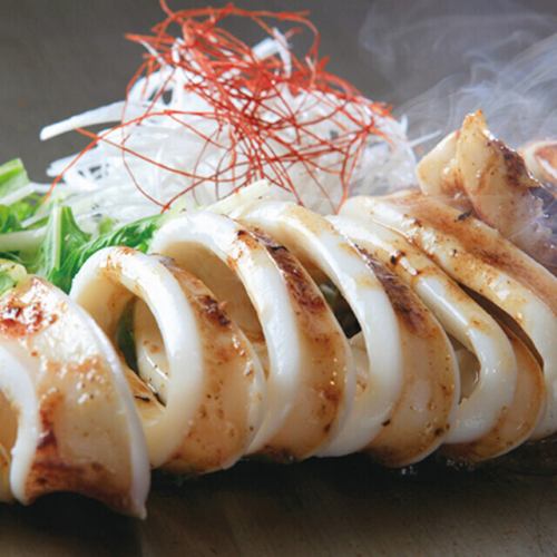 Grilled squid on an iron plate