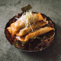 揚げ棒餃子