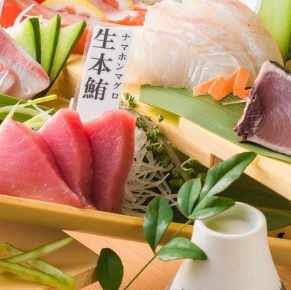 漁港直送鮮魚